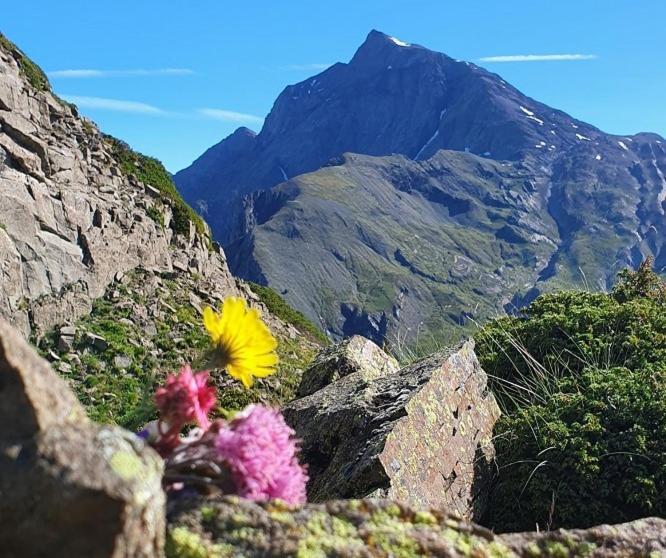 Belle Calme A La Montagne